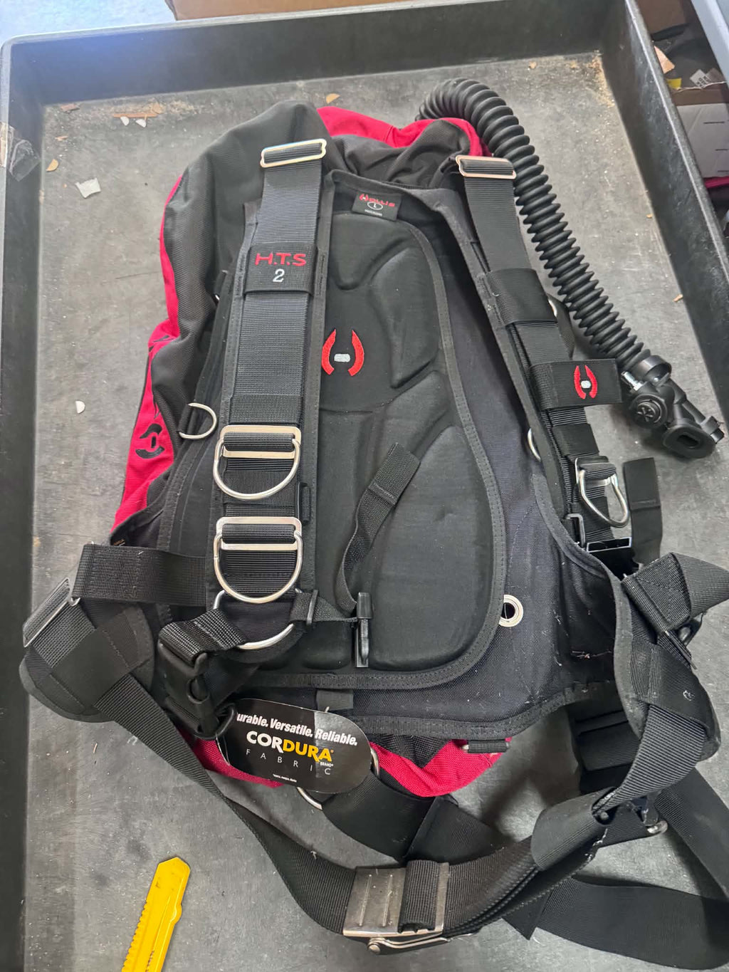 hollis soft back plate & wing